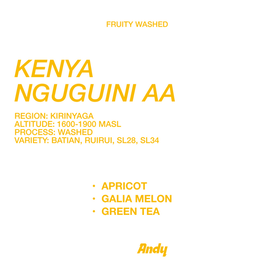 KENYA NGUGUINI AA, Filter